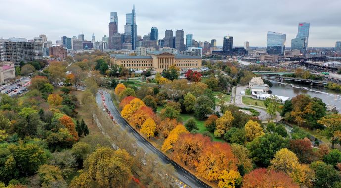 Aerial view of fall foliage sprinkled throughout New York City.