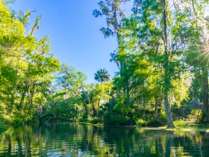 The Silver River in Central Florida