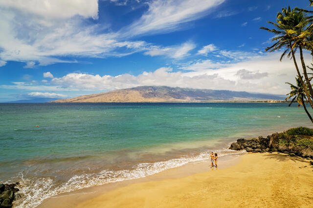 Couple embracing along shoreline, aerial image, Maui, Hawaii.