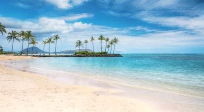 Idyllic tropical beach scene, palm tree lined shoreline, white sands, turquoise water, blue skies, Honolulu, Oahu, Hawaii. 
