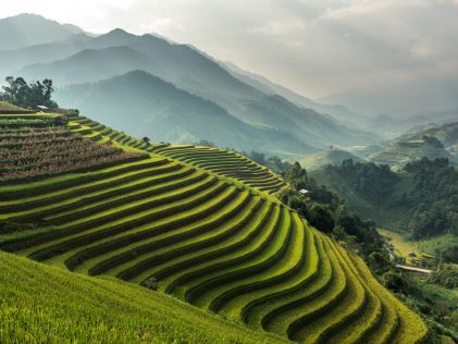 Terraced rice patty fields in Bali, Indonesia